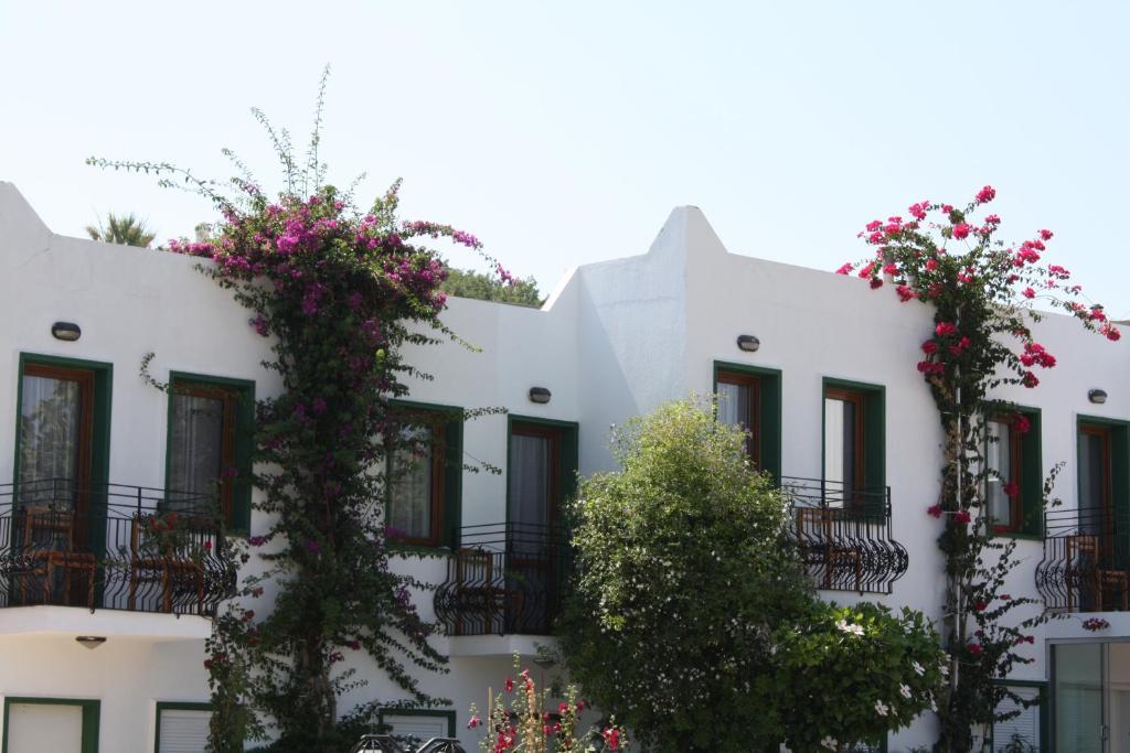 Bronze Hotel Gümbet Exterior foto