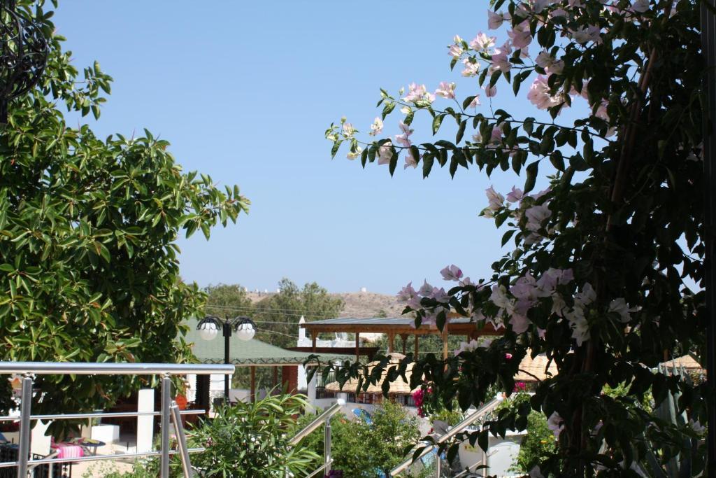 Bronze Hotel Gümbet Exterior foto